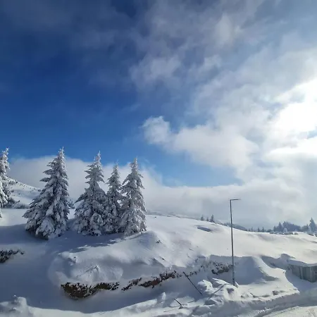 Apartment Suncani Breg-suncana Kop Kopaonik
